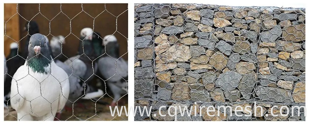 Galvanized Wire Mesh/Chicken Wire Mesh with Hexagonal Wire Netting